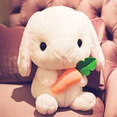 漫淘淘