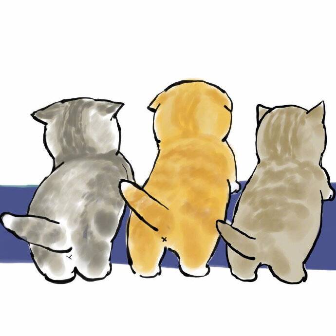 三吱*3