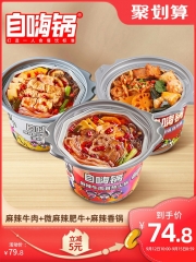 自嗨锅麻辣牛肉组合量贩装自热速食网红自热火锅懒人方便小火锅