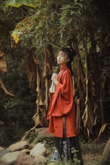 太平有象